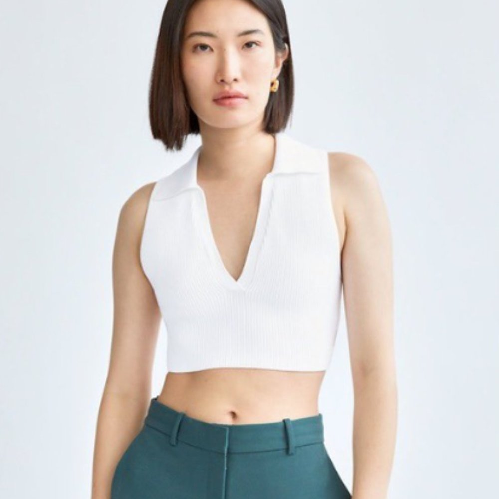 RARE FIND: Babaton Excerpt Sculpt Knit Top, ONLY WORN ONCE